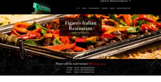 figaroct.com