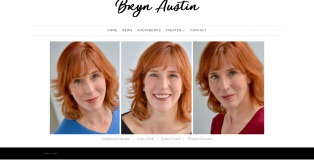 brynaustin.com