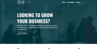 elmcitybni.com