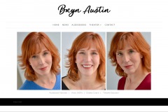 brynaustin.com