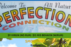 Perfection-Connection-Smoothies