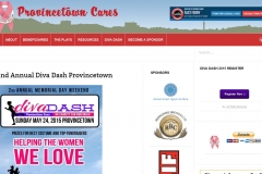 provincetowncares.com