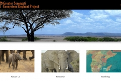 https://serengetielephant.org/