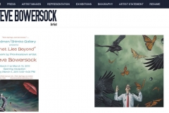 stevebowersock.com